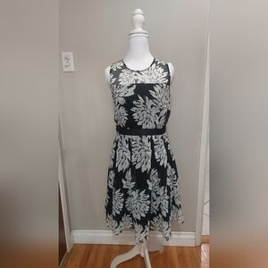 Ann Taylor Monochrome Floral Dress